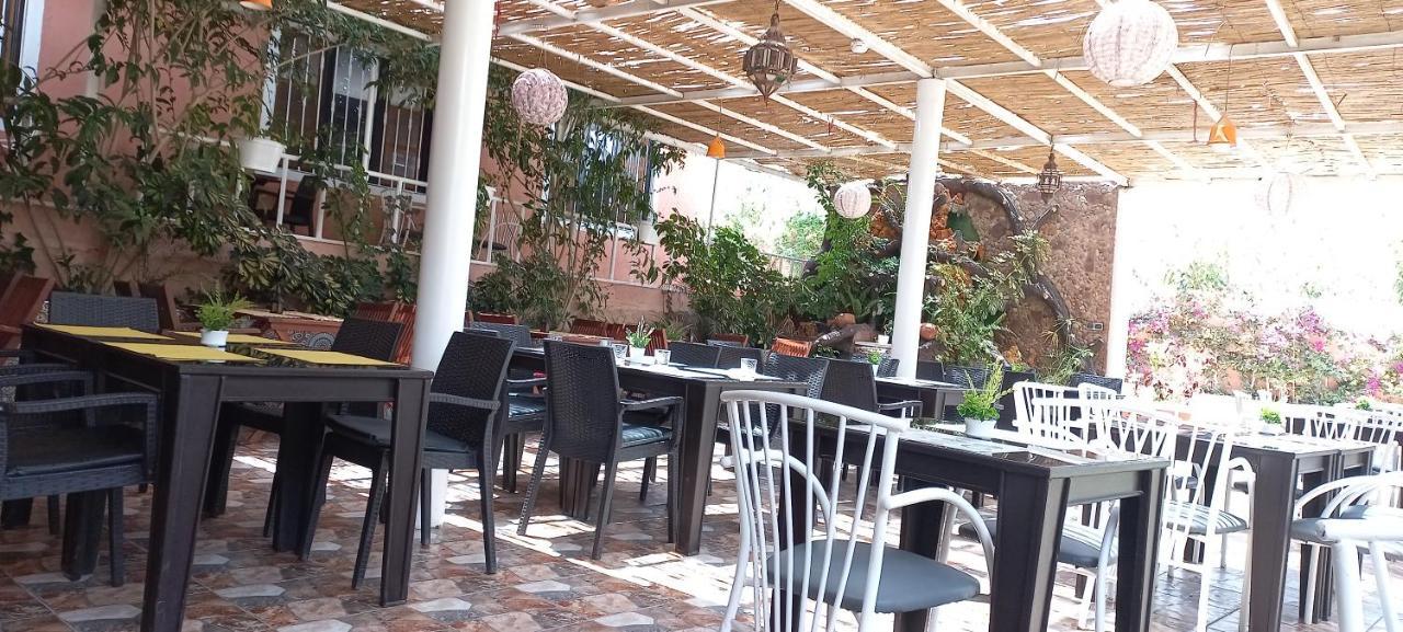 Banana House Hotel Tamri Екстериор снимка